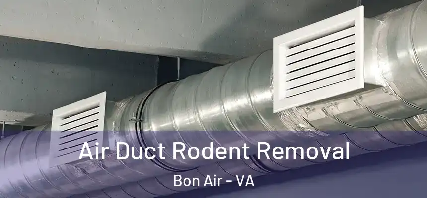  Air Duct Rodent Removal Bon Air - VA