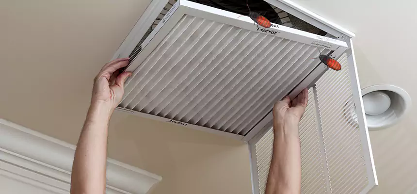 Preventive Cockroach-Proofing for Ducts in Bon Air