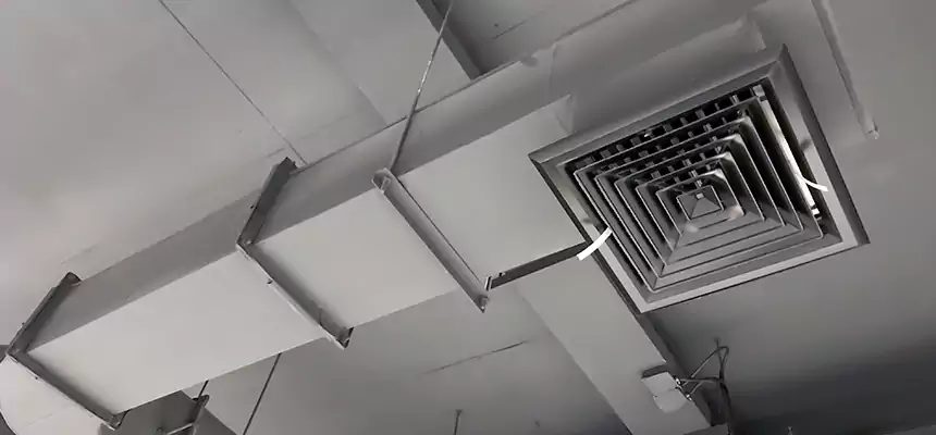 Our Pest Removal From Ducts Services in Bon Air, VA