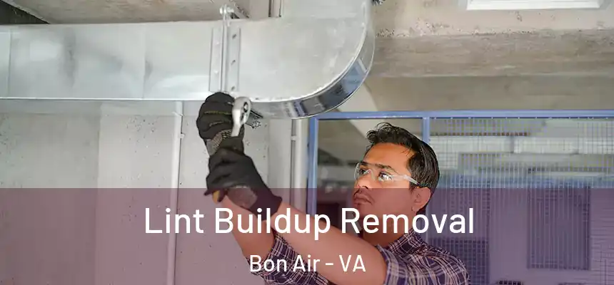  Lint Buildup Removal Bon Air - VA