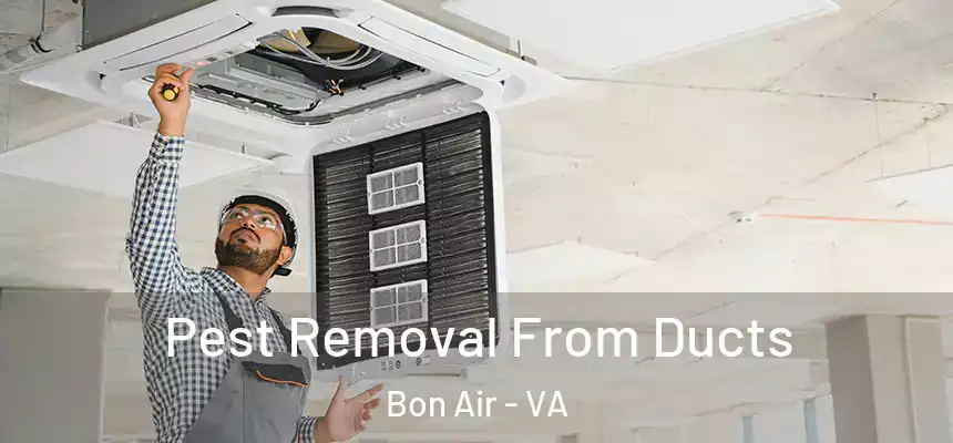  Pest Removal From Ducts Bon Air - VA