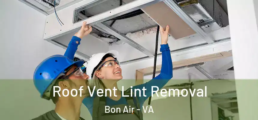  Roof Vent Lint Removal Bon Air - VA