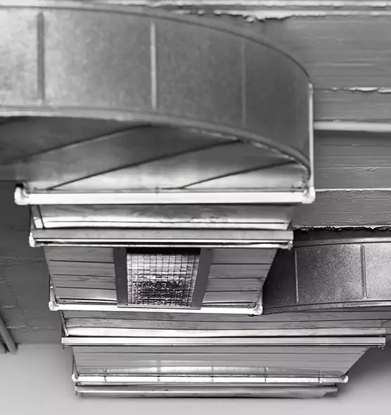 Professional Air Duct Pet Hair Removal in Bon Air, VA