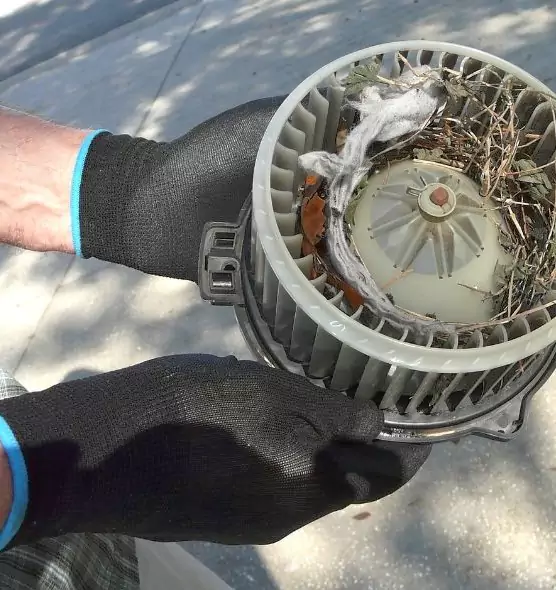 About Air Duct Rat Removal in Bon Air, VA