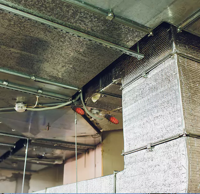 Why Homeowners & Businesses Trust Us in Bon Air, VA?