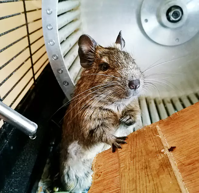 Why Homeowners & Businesses Trust Us Bon Air, VA?